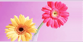 flowers delivery romania