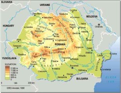 ROMANIA FLOWERS