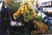 flower romania delivery
